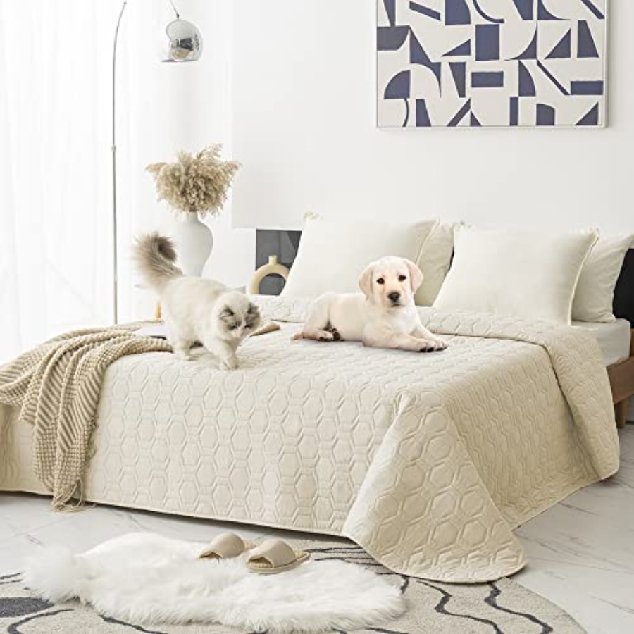 Waterproof and Anti-Slip Dog B - огляд і ціна Mattress Protector Waterproof