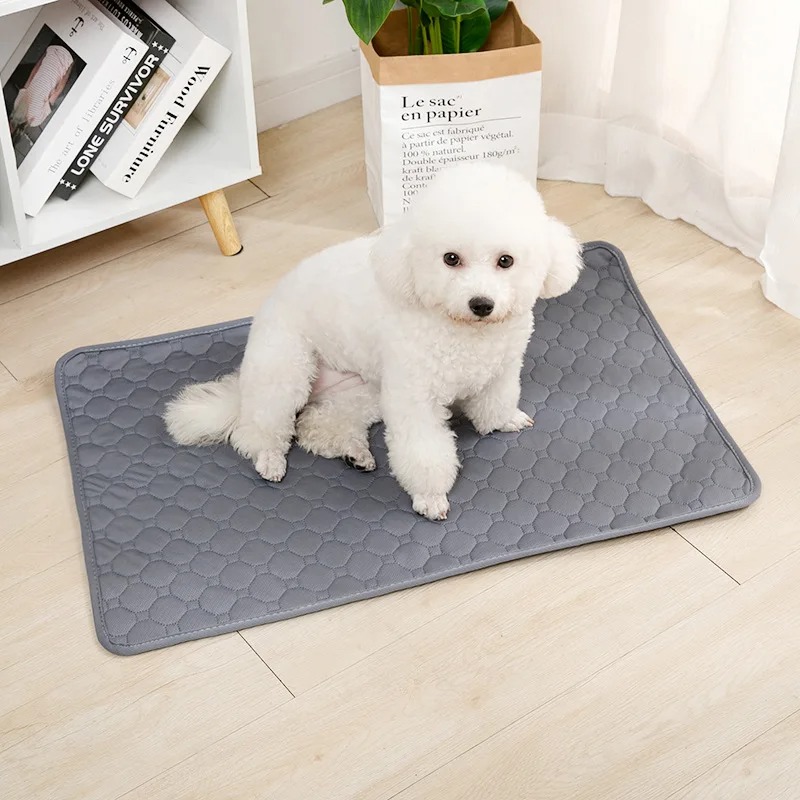 Dog Pee Reusable Pad Blanket A - огляд і ціна Mattress Protector Waterproof